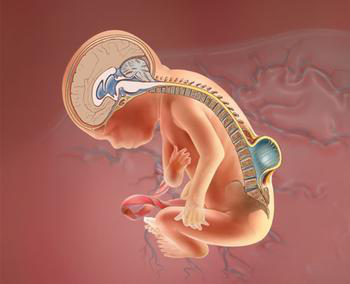 多宝电竞·DB(中国集团)官方网站