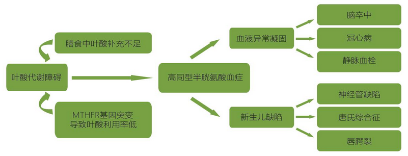 多宝电竞·DB(中国集团)官方网站