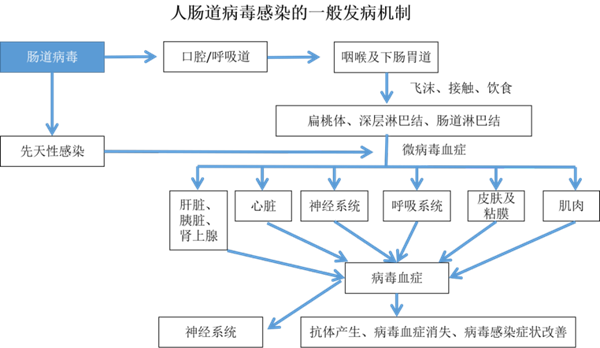 多宝电竞·DB(中国集团)官方网站