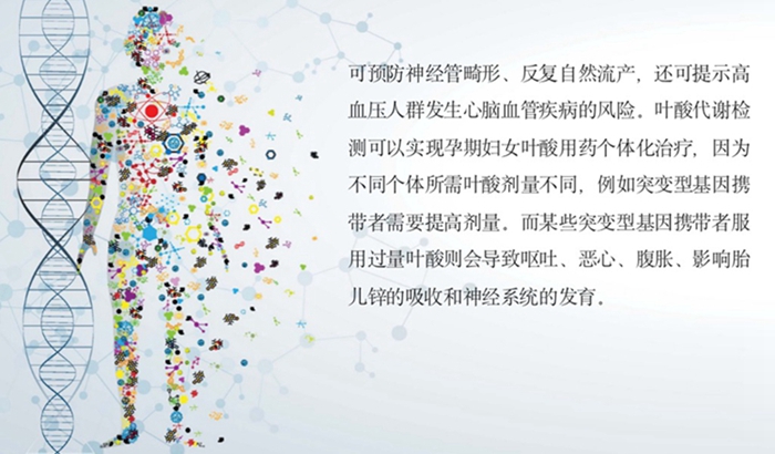 多宝电竞·DB(中国集团)官方网站