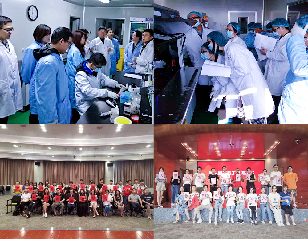 多宝电竞·DB(中国集团)官方网站