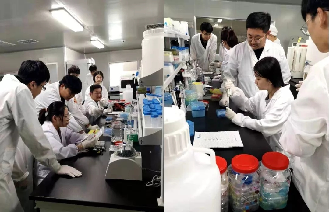 多宝电竞·DB(中国集团)官方网站