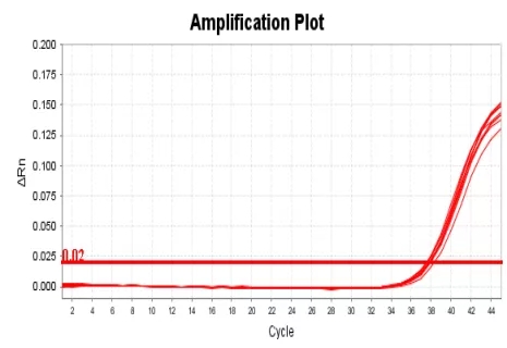 多宝电竞·DB(中国集团)官方网站