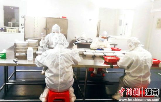 多宝电竞·DB(中国集团)官方网站