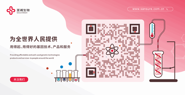 多宝电竞·DB(中国集团)官方网站