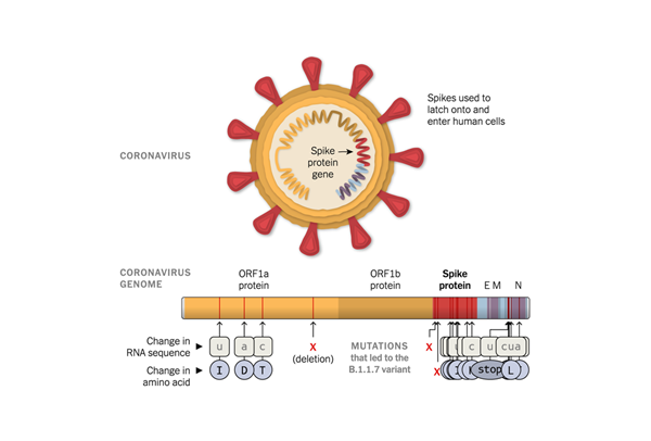 多宝电竞·DB(中国集团)官方网站