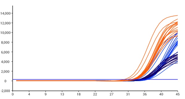 多宝电竞·DB(中国集团)官方网站