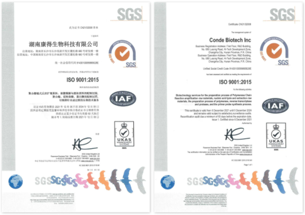 多宝电竞·DB(中国集团)官方网站