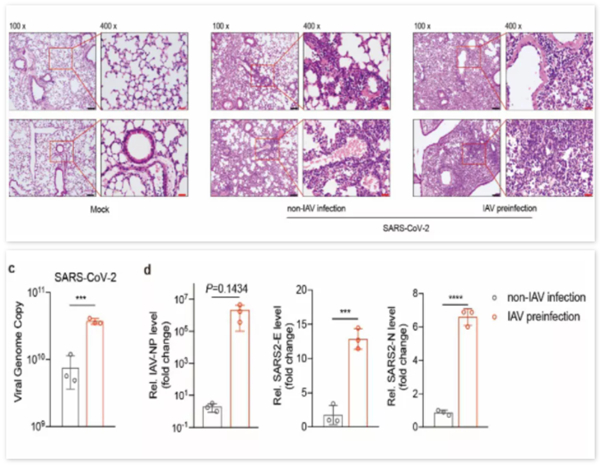 多宝电竞·DB(中国集团)官方网站