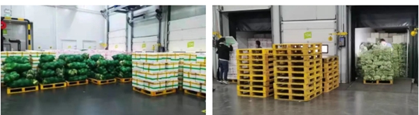 多宝电竞·DB(中国集团)官方网站